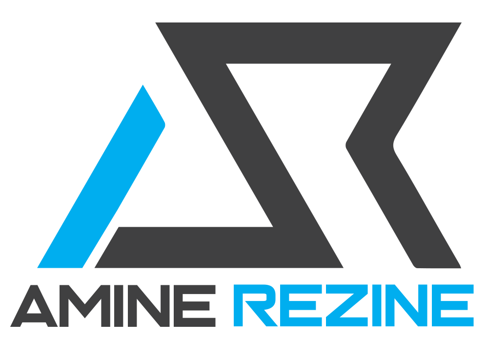 logo amine rezine Créateur de site internet wordpress et e-commerce